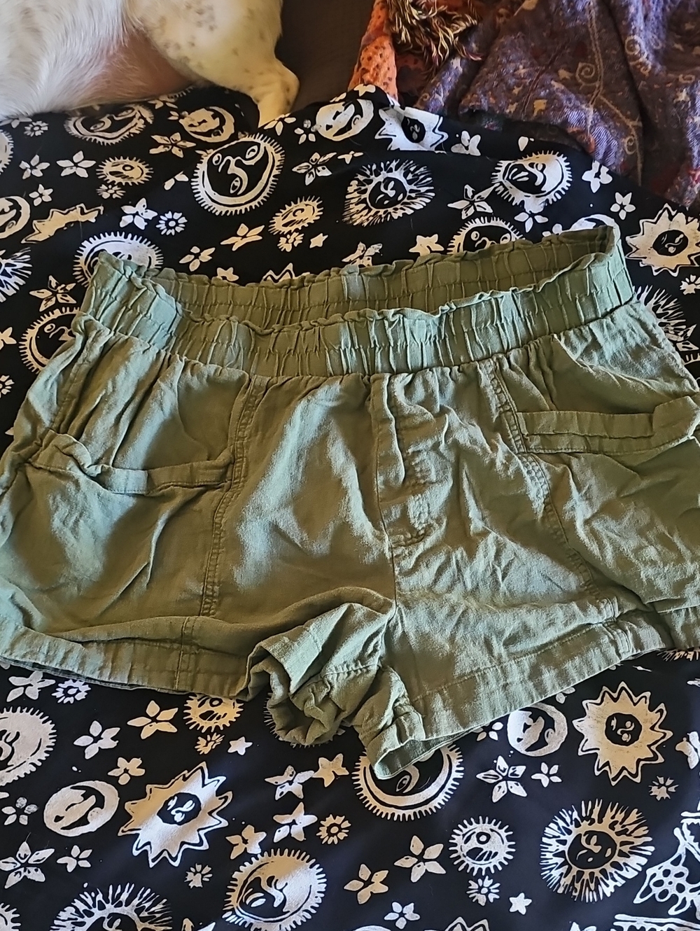 a new day Olive Green High Waist Casual Women's Shorts